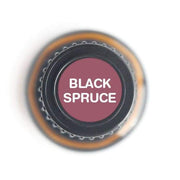 Black Spruce Pure Essential Oil - 15ml-1