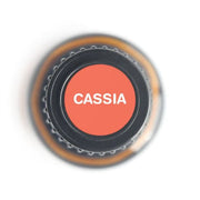 Cassia Pure Essential Oil - 15ml-1