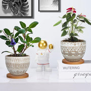 5.5In Geometry Ceramic Planter Large round Succulent Planter Flower Pot Indoor and Outdoor Brown Set of 2