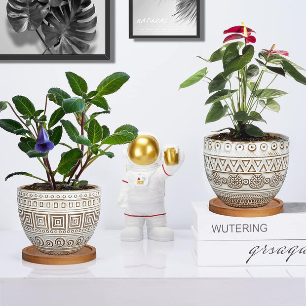 5.5In Geometry Ceramic Planter Large round Succulent Planter Flower Pot Indoor and Outdoor Brown Set of 2