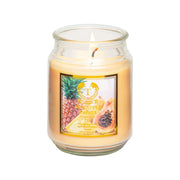 Luxurious Aroma Candles Set