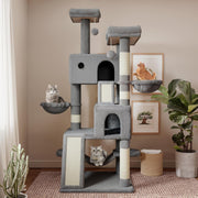 Ultimate Cat Adventure Tower