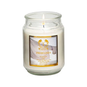 Luxurious Aroma Candles Set