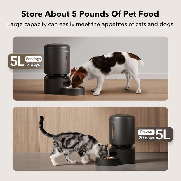Smart Meal Buddy for Pets