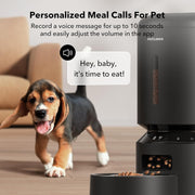 Smart Meal Buddy for Pets