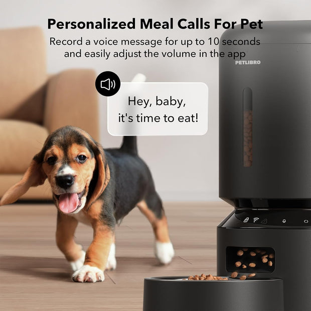 Smart Meal Buddy for Pets