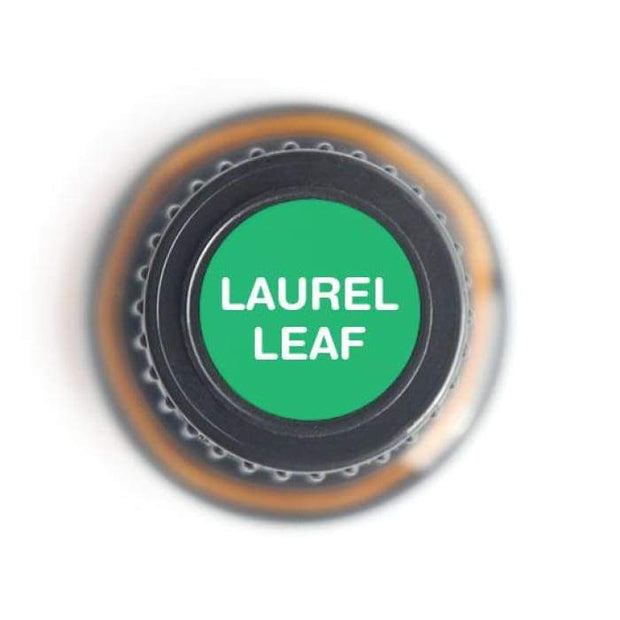 Laurel Leaf Pure Essential Oil - 15ml-1